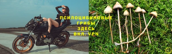 гидропоника Богородицк